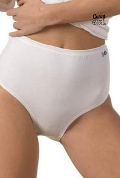 Picture of BASIC HIGH CUT BRIEF